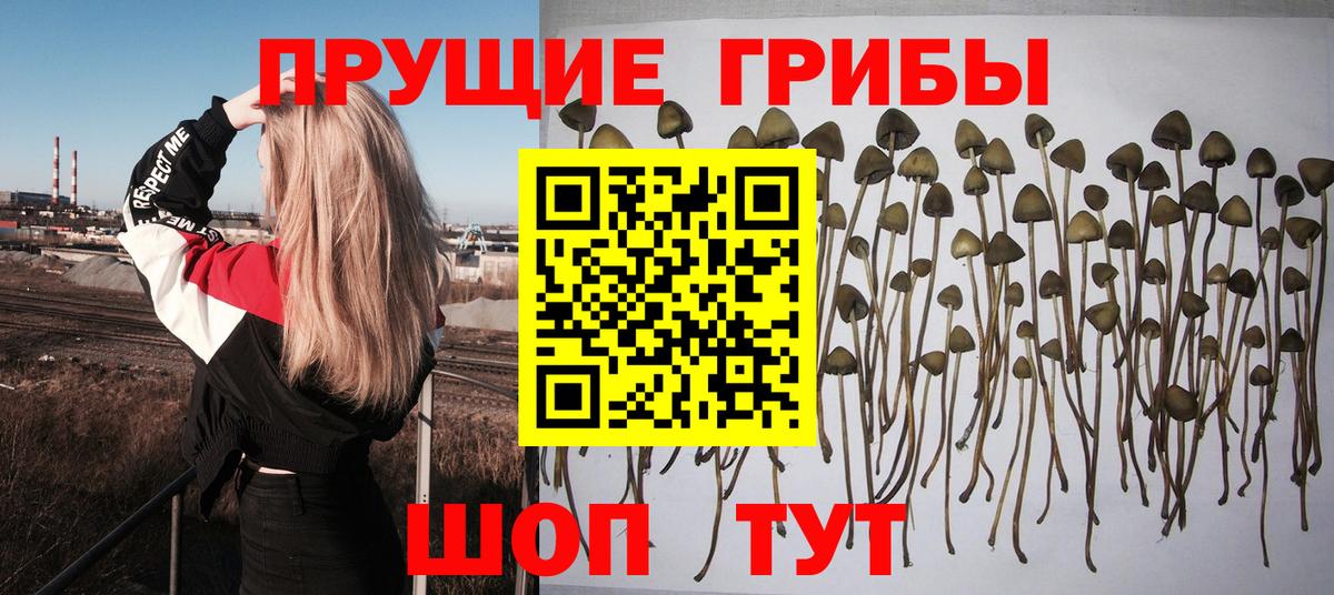 цена   Псилоцибиновые грибы Psilocybe  Вход с VPN  Комсомольск-на-Амуре 