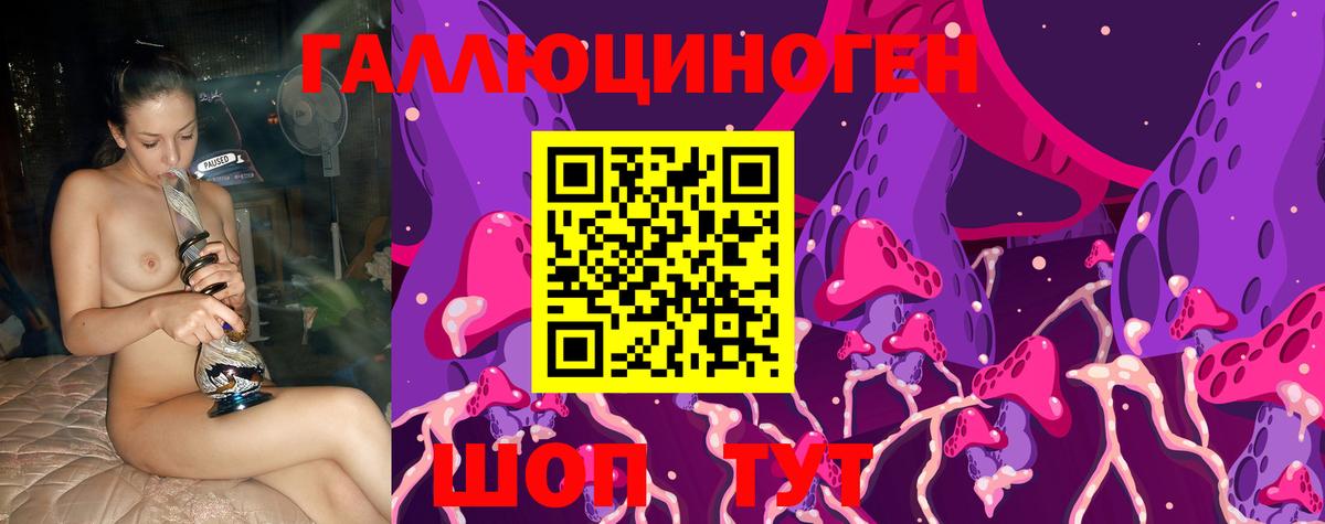 Псилоцибиновые грибы Psilocybe Комсомольск-на-Амуре